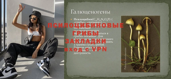 твердый Верея