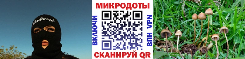 darknet Telegram  Лысково  Псилоцибиновые грибы MAGIC MUSHROOMS  хочу наркоту 